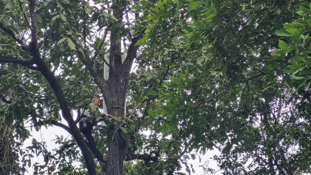 MÁY BAY RƠI 1002.jpg