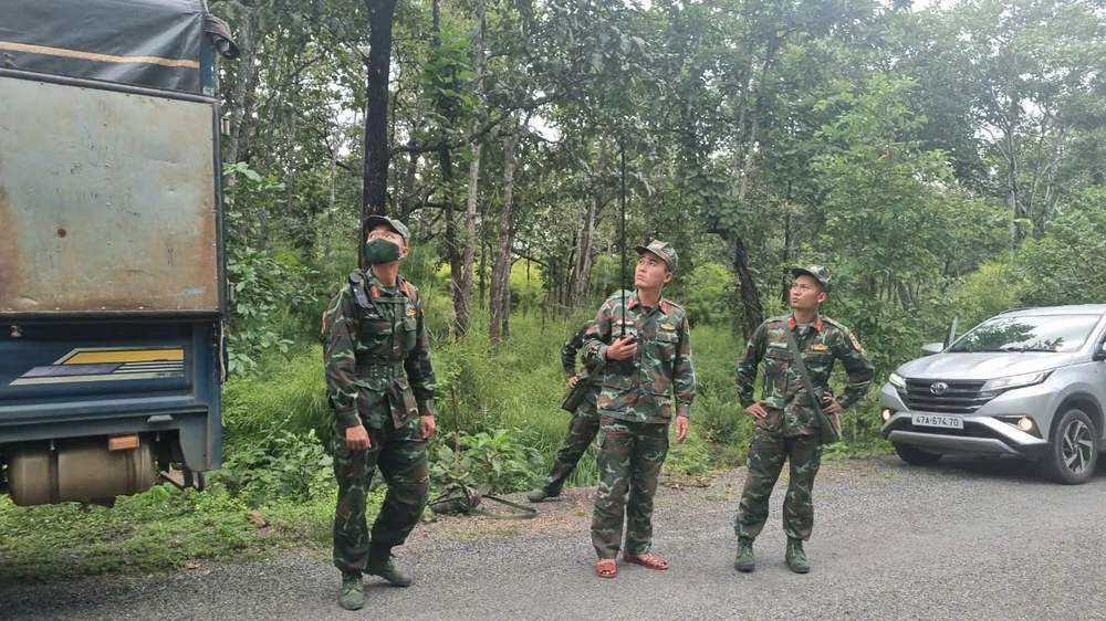 MÁY BAY RƠI 1003.jpg