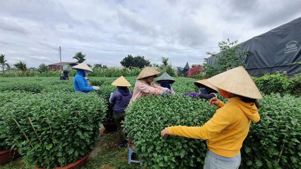 người trồng hoa.jpg