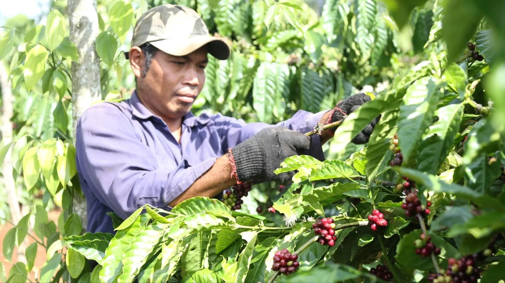 Buôn Ma Thuột 1.jpg