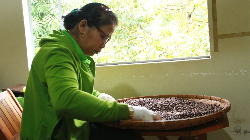 Buôn Ma Thuột.JPG