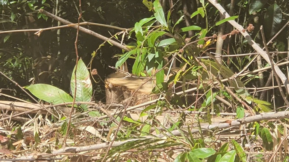 đường tuần tra biên giới 1.jpg