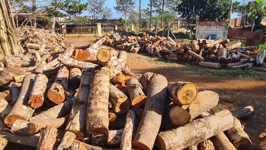 đường tuần tra biên giới.jpg