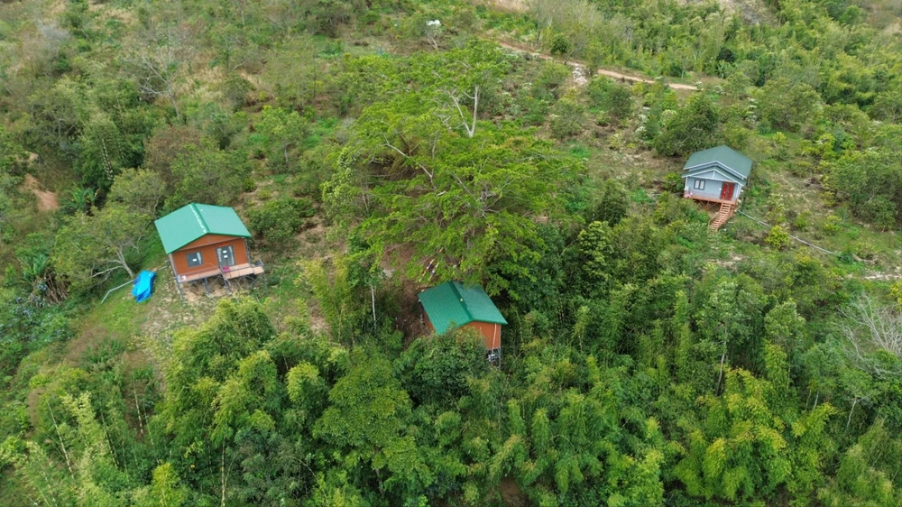 tu thành tiên 2002.jpg