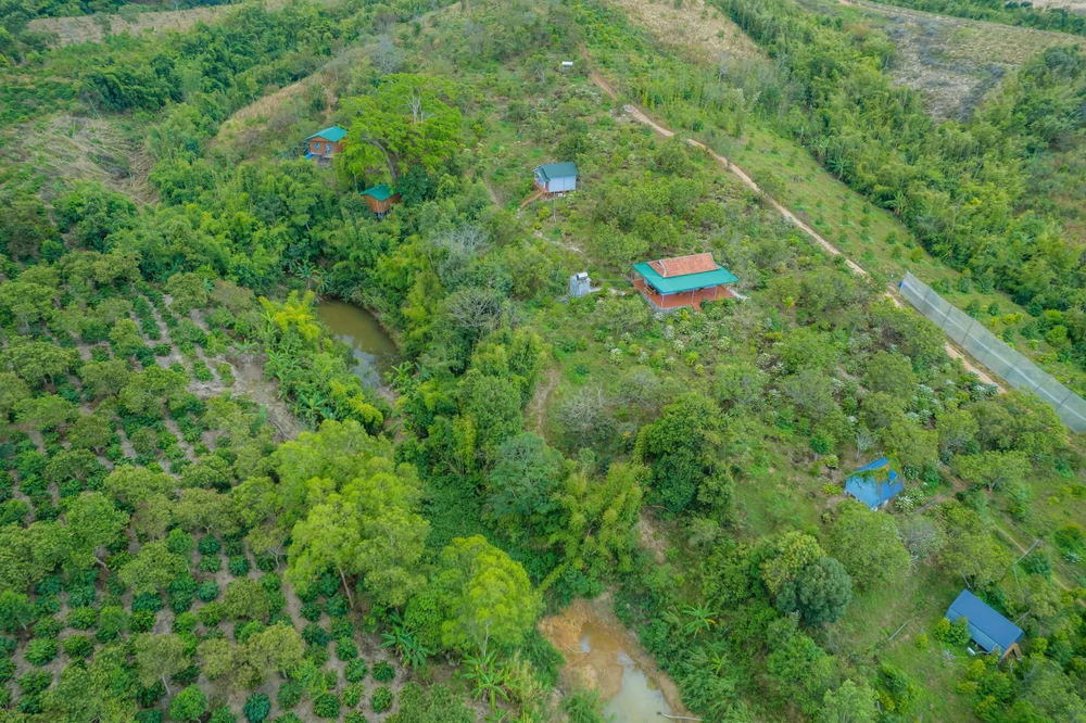 tu thành tiên 2003.jpg