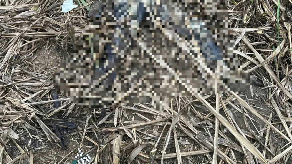 thi thể một phụ nữ.jpg