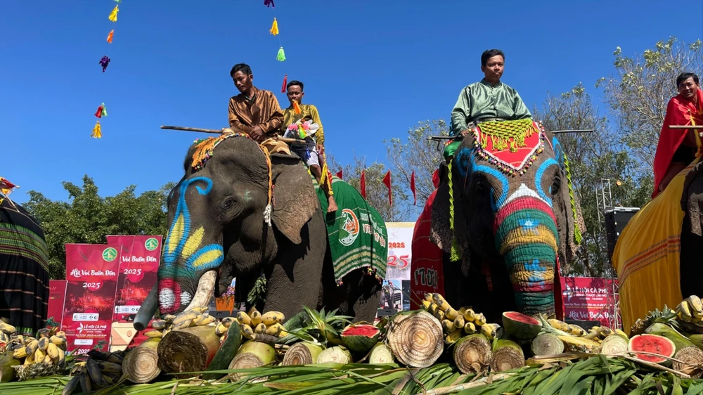 Voi Buôn Đôn 13.jpg