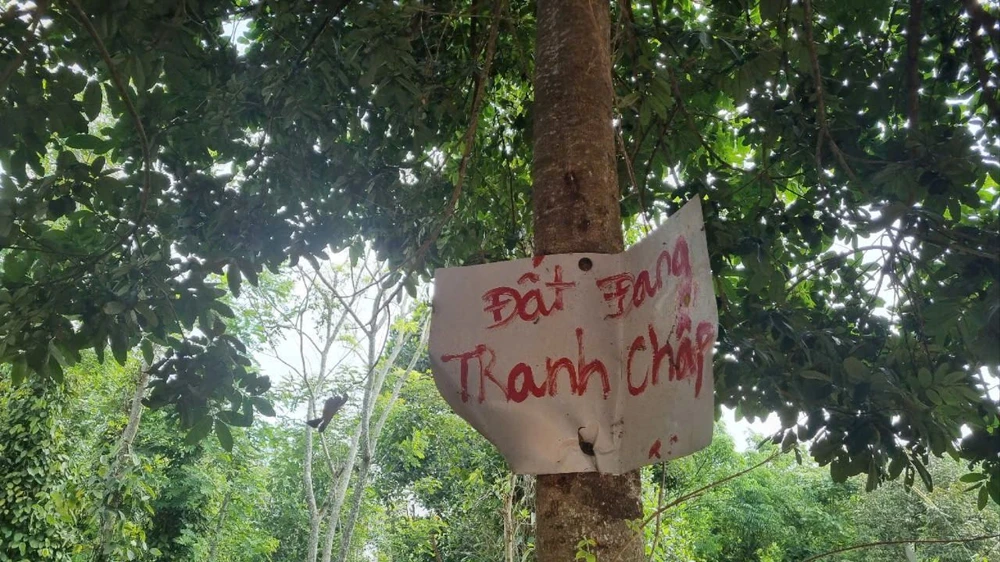 đất tranh chấp 2.jpg