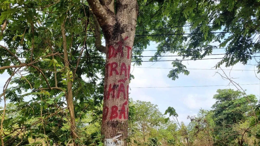 đất tranh chấp.jpg