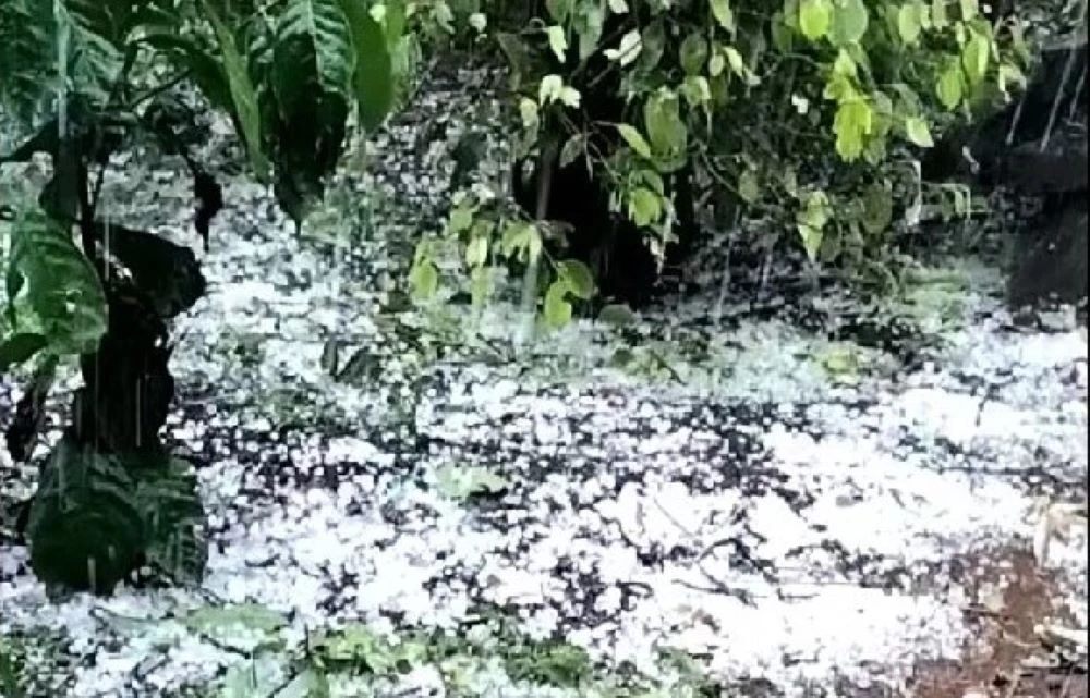 MƯA ĐÁ TRẮNG XÓA.jpg