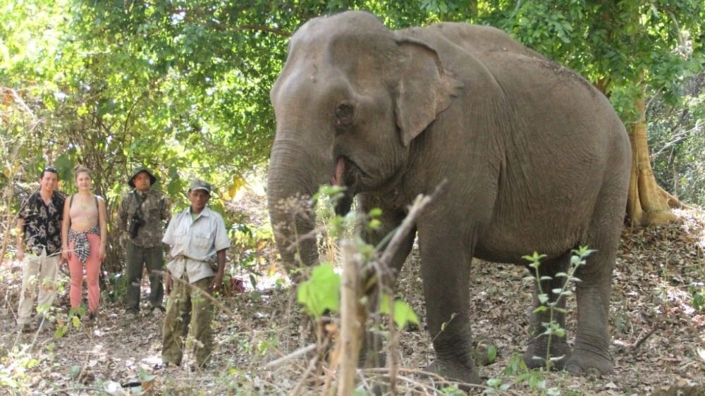 cõng khách du lịch 1.JPG