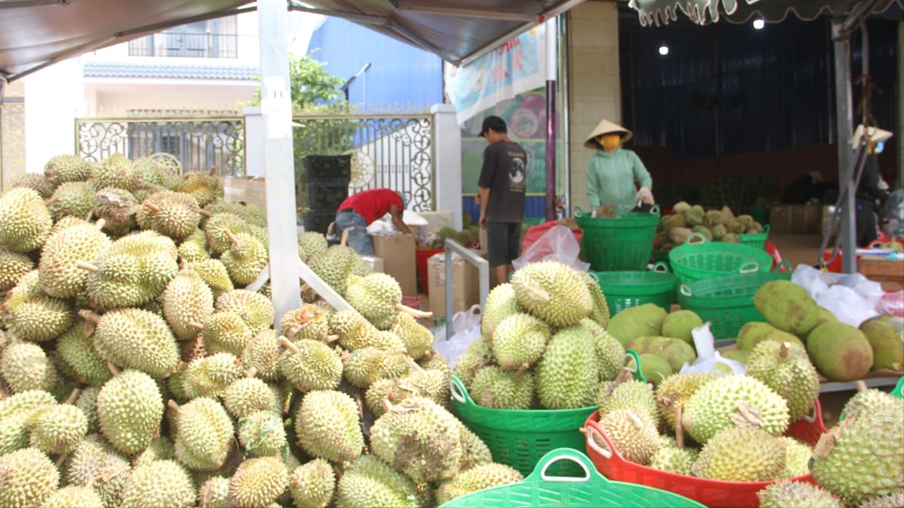 báo động đỏ 1.JPG