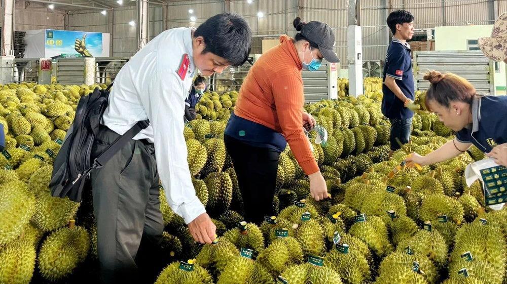 tỉnh Đắk Lắk 3.jpg