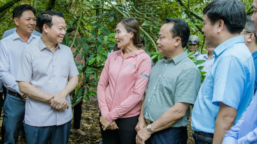 sầu riêng Việt Nam 1.jpg