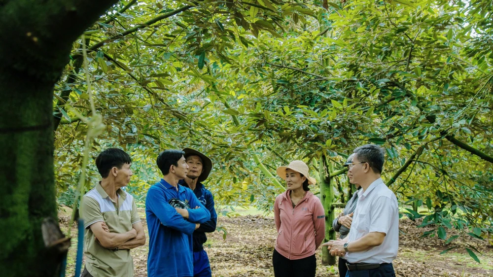 hoa sầu riêng 4.jpg