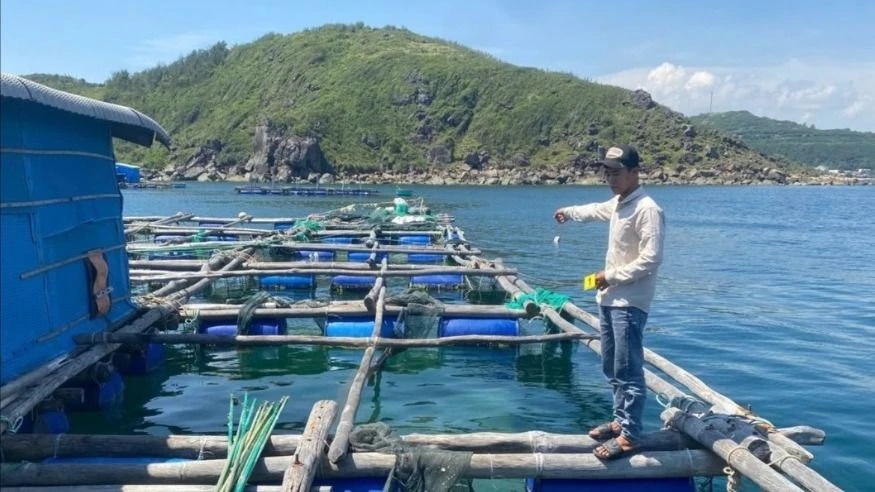 Khởi tố 4 bị can trộm cắp tôm hùm ở Đắk Lắk