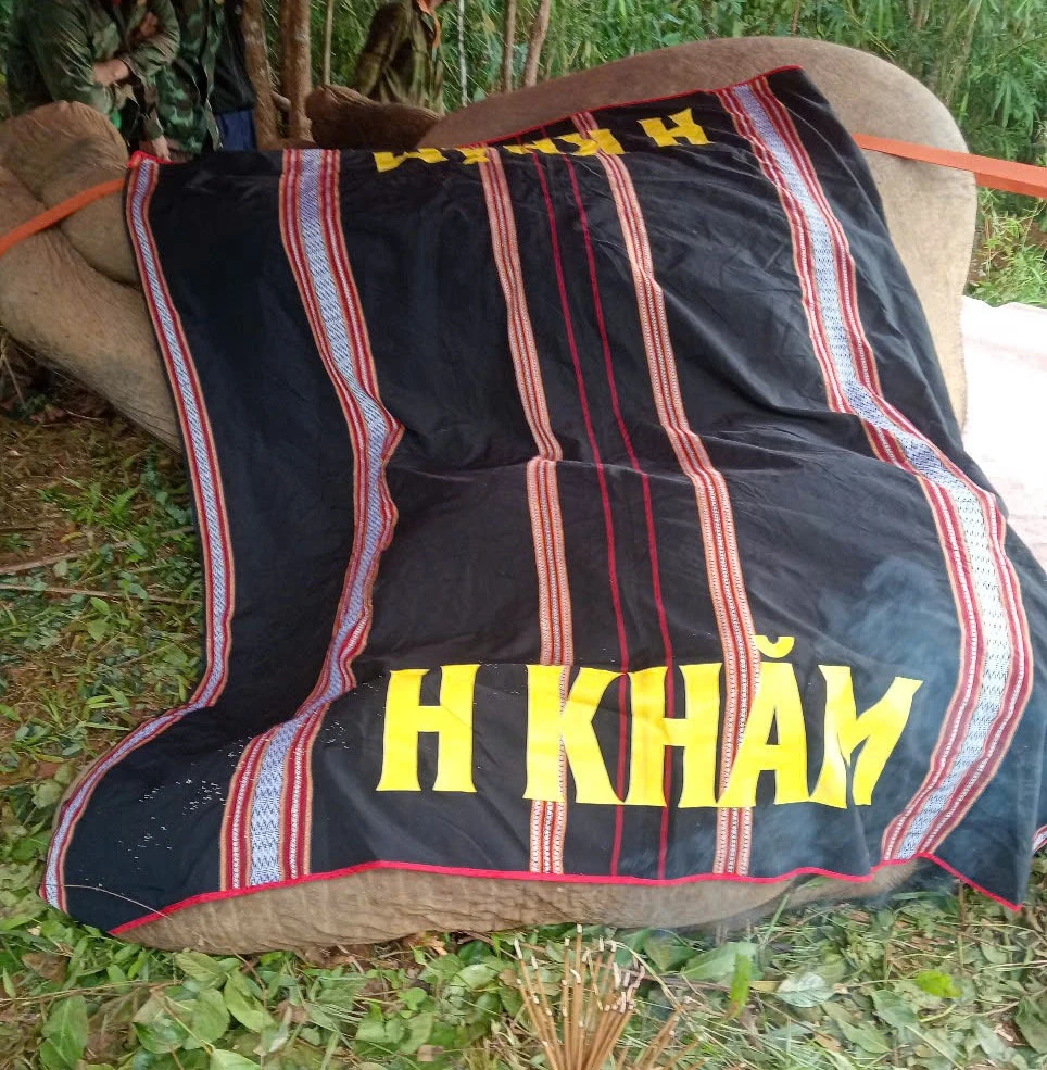 CHÔN CẤT VOI 1.jpg