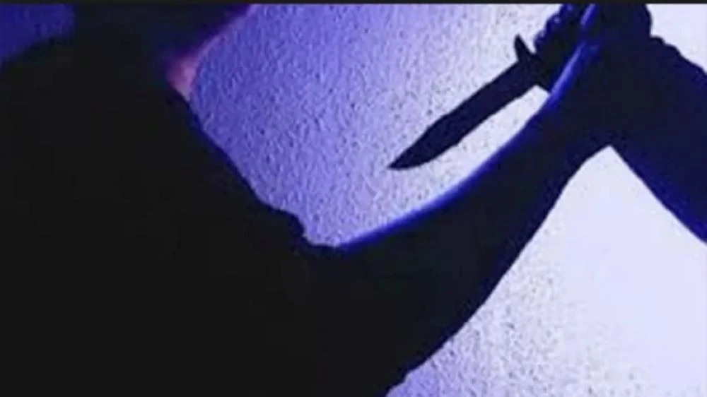 đâm mẹ ruột.jpg