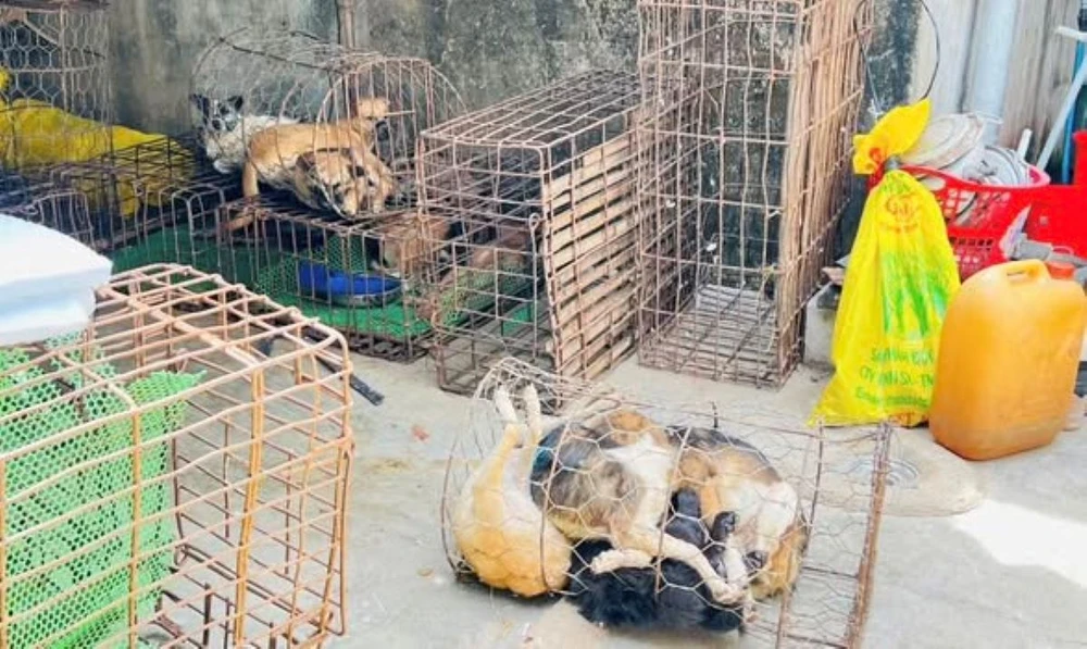 Công an tỉnh Đắk Lắk.jpg