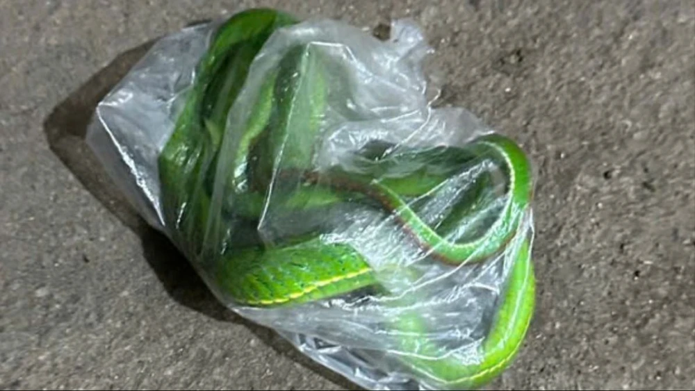 người đàn ông.jpg