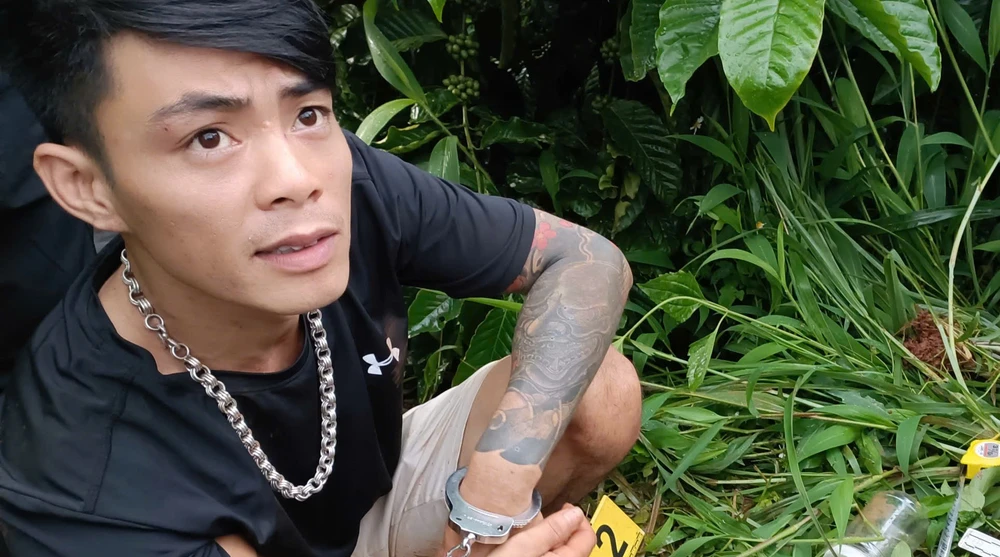 rẫy cà phê 1.jpg