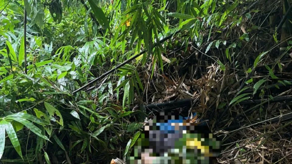 tử vong trong rừng 1.jpg