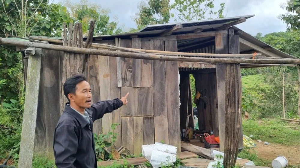 phá hoại hoa màu 5.jpg