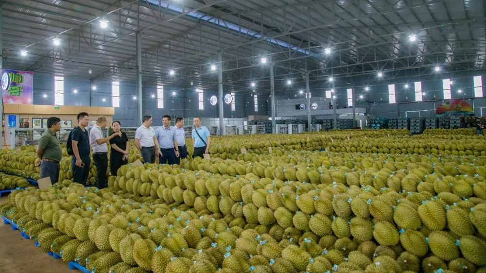 PHÒNG XÉT NGHIỆM.jpg