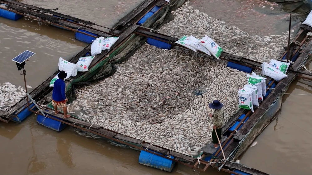 bão số 13 112.jpg