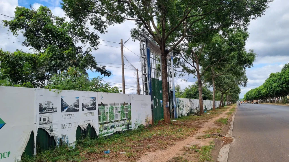 thi hành án 100.jpg