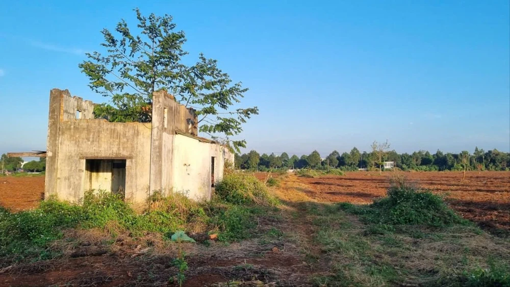 thi hành án 101.jpg