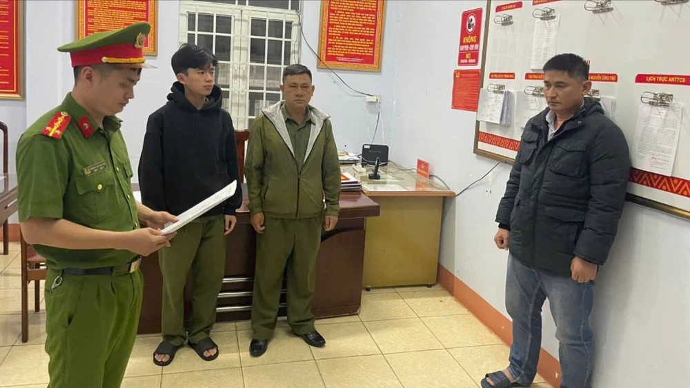 lúa giống giả 1.jpg