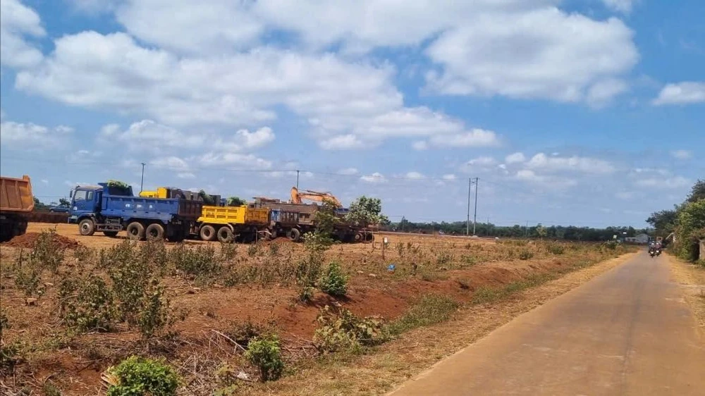 bụi 5.jpg