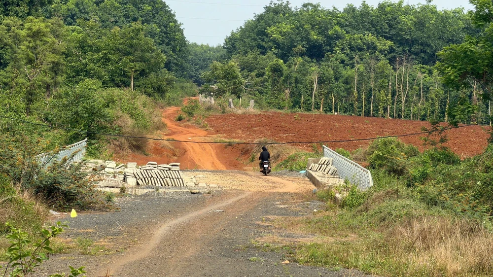 dự án.jpg