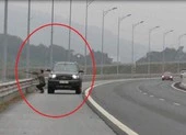 Tài xế bị tước bằng lái vì… dừng xe trên cao tốc để bắn chim