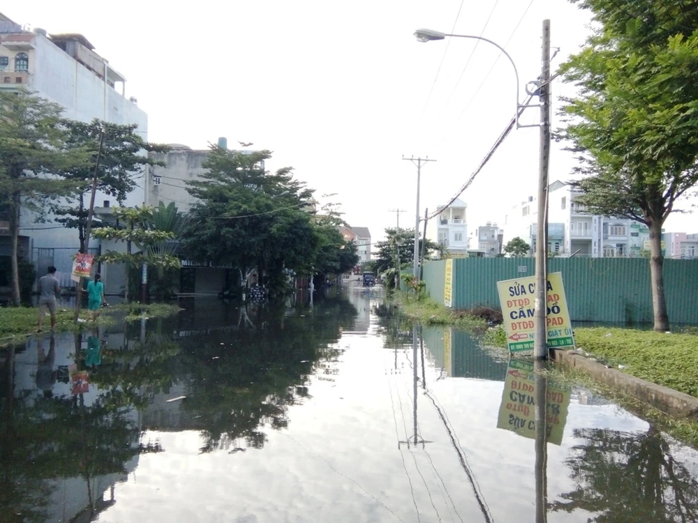 Vì sao hai cống ngăn triều ở quận 12 bị hỏng? ảnh 1