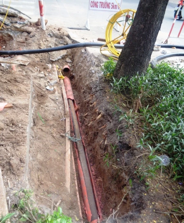 Cảnh cây xanh tan tành vì công trình chạy… Tết ảnh 5