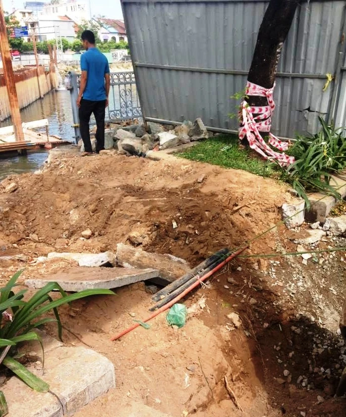 Cảnh cây xanh tan tành vì công trình chạy… Tết ảnh 6