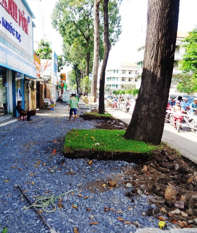 Cảnh cây xanh tan tành vì công trình chạy… Tết ảnh 2