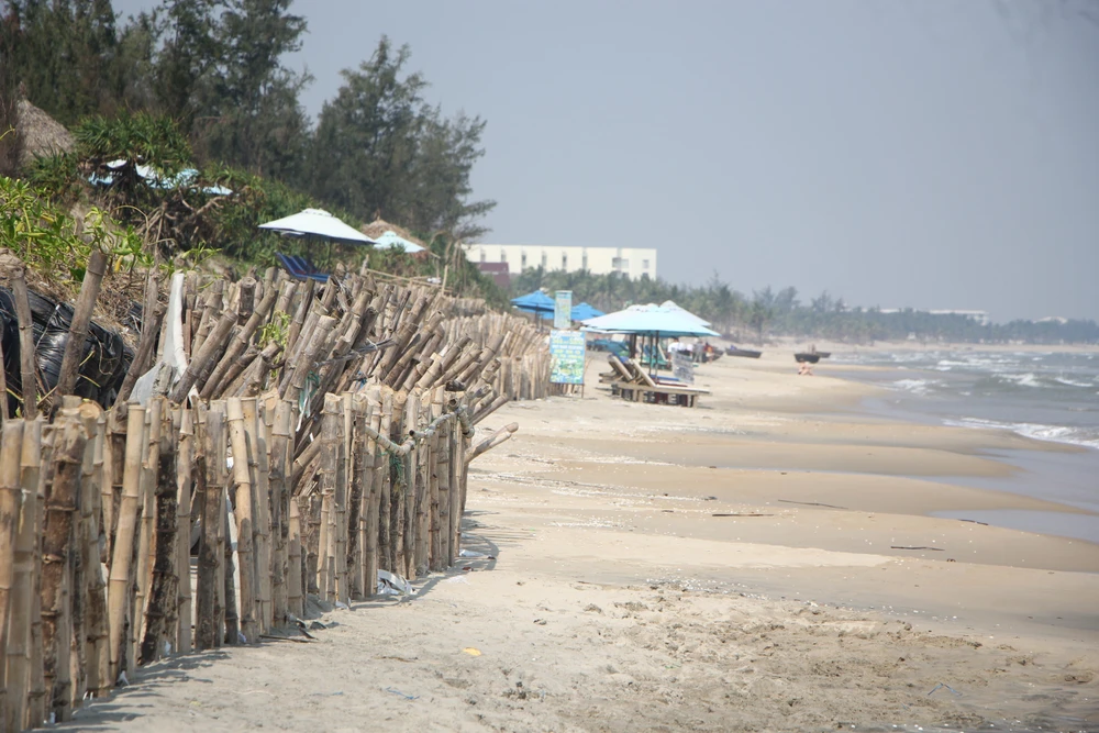 Đoạn bờ kè dài gần 1 cây số được dựng bằng bao cát kết hợp cọc tre ở bãi biển An Bàng. Ảnh: NGÔ QUANG.