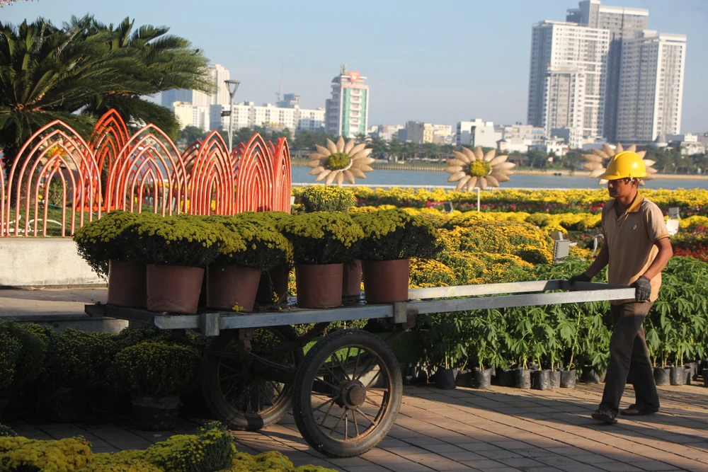 Những ngày qua, các công nhân đang tất bật trang trí, hoàn thiện đường hoa Bạch Đằng để phục vụ người dân và du khách vui xuân.