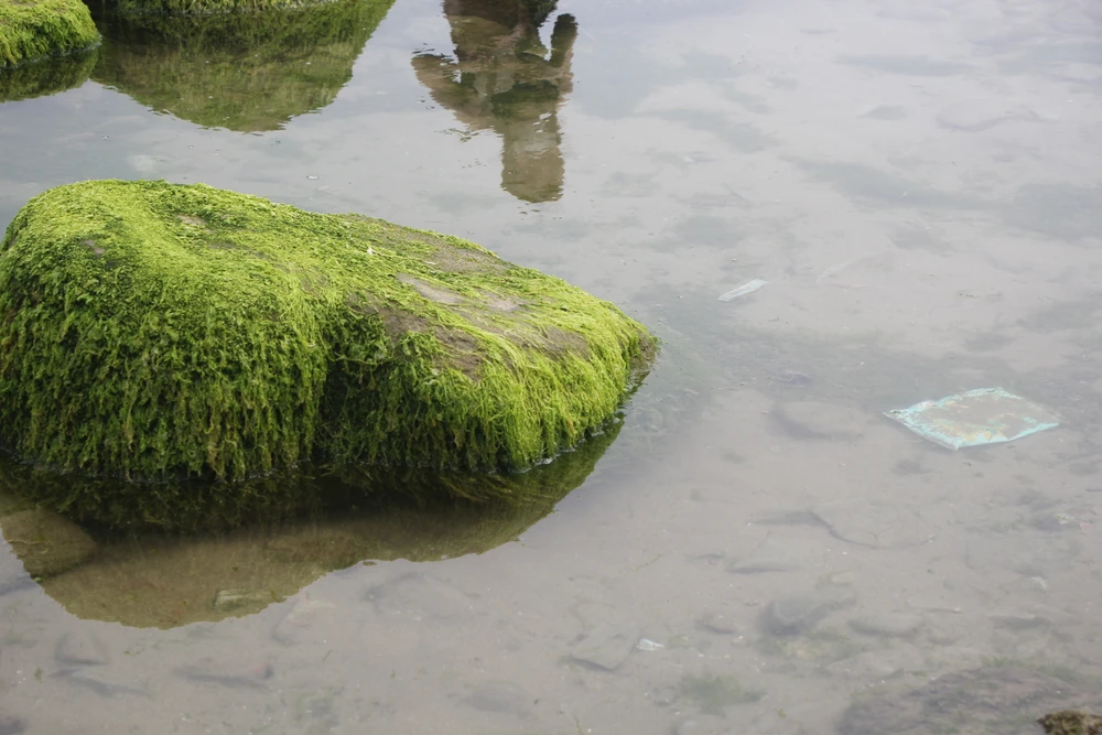 Bao ni lon đồ ăn nằm vương vãi dưới nước. Ảnh: NGÔ QUANG