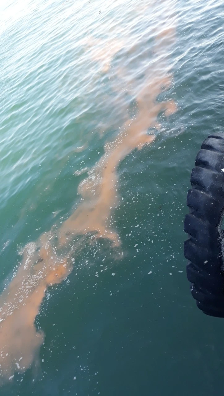 Xuất hiện vệt nước lạ màu hồng trên vùng biển Quảng Bình ảnh 2