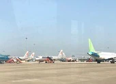 Các hãng hàng không đồng loạt tăng chuyến bay nội địa