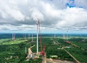 Dự án điện gió EaNam: Vừa thi công, vừa đảm bảo phòng chống dịch