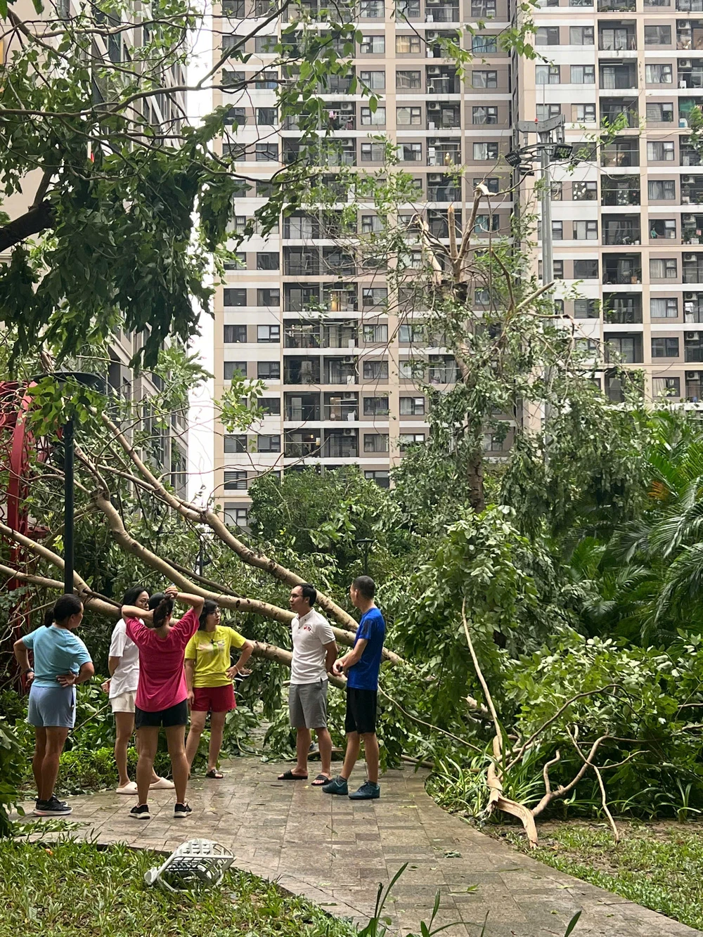 từng đợt cuồng phong của bão số 3