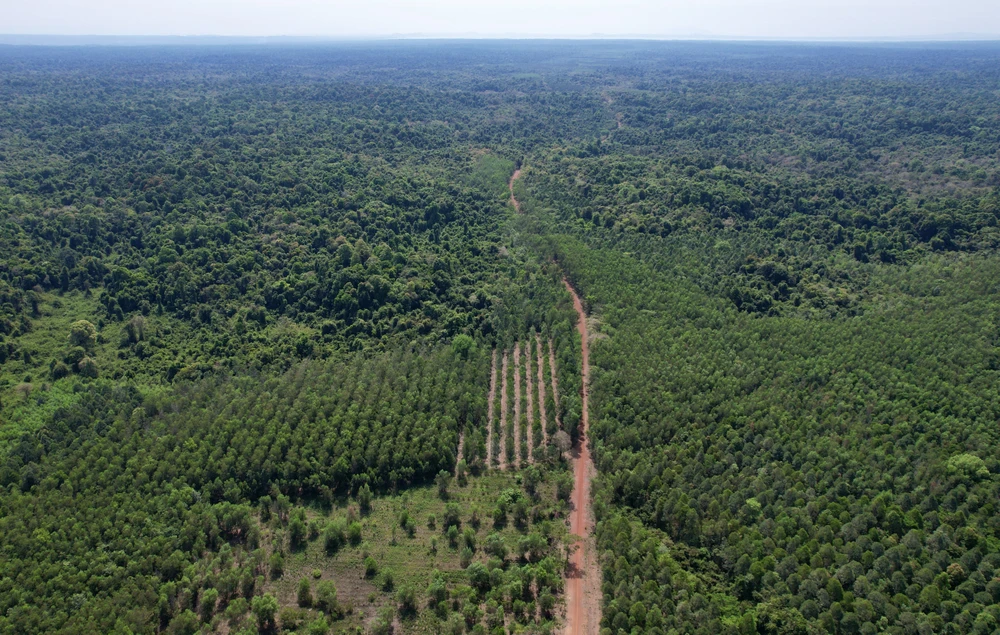 đường nối Bình Phước và Đồng Nai