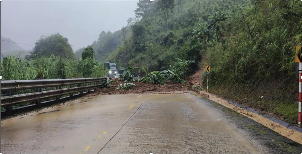 Đường Hồ Chí Minh đoạn qua Tây Nguyên. Ảnh: CTV
