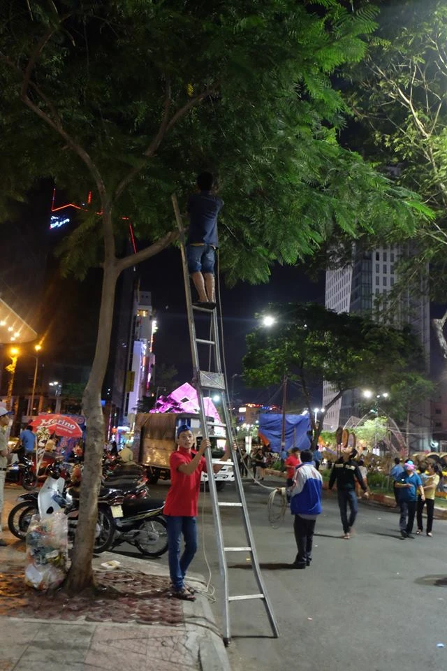 “Hạ trại” Đường hoa Hàm Nghi ảnh 5