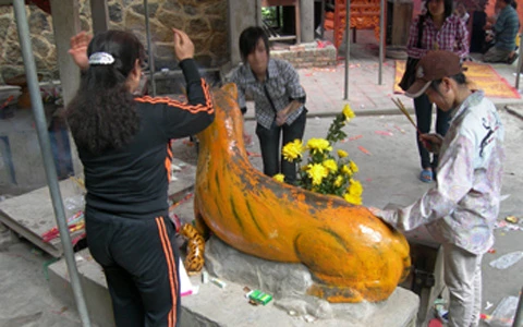 Hà Tĩnh, 'hổ thần', chùa Hương, chữa bệnh